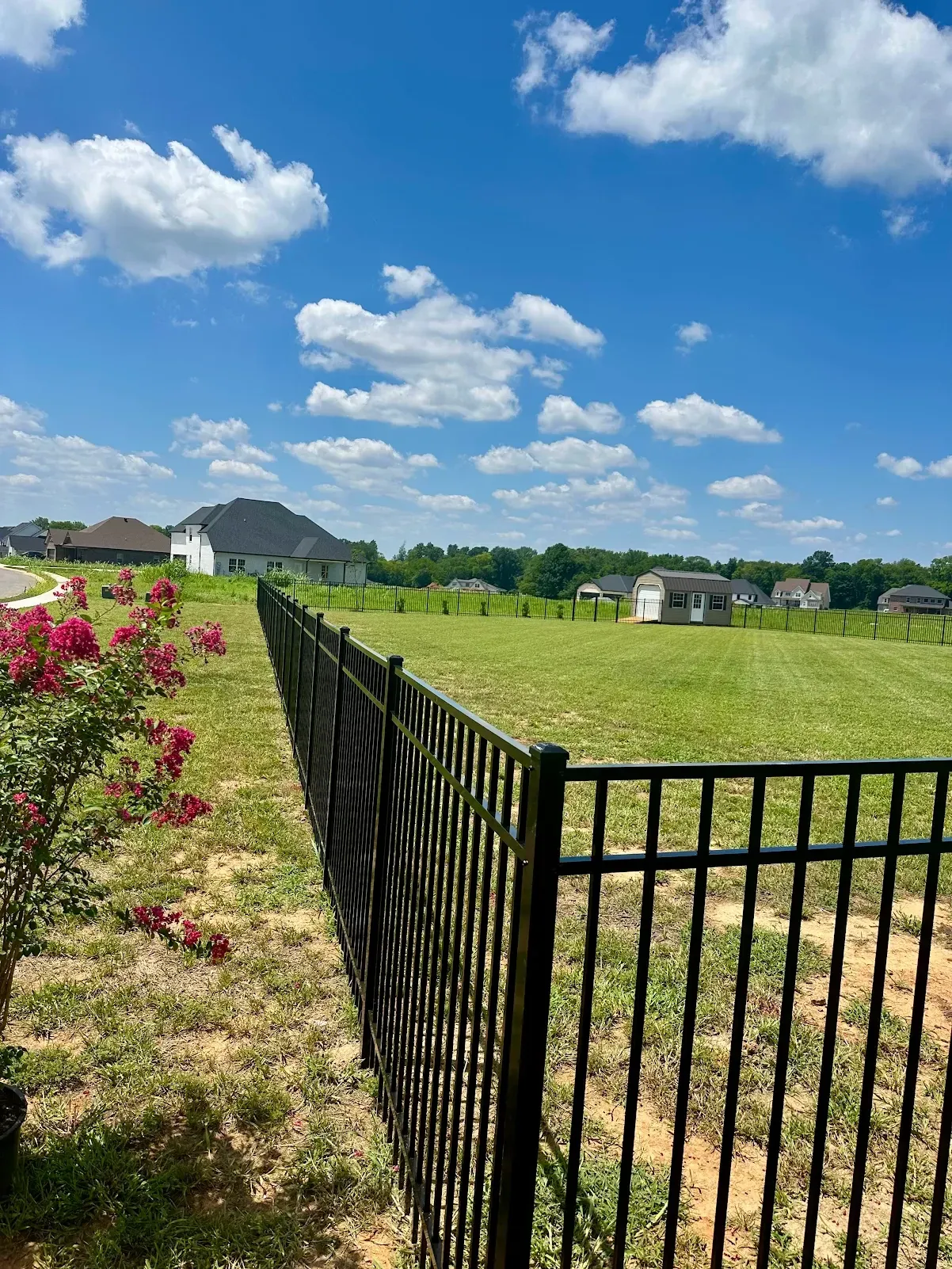Black aluminum fence corner beside a flowering shrub and open lawn