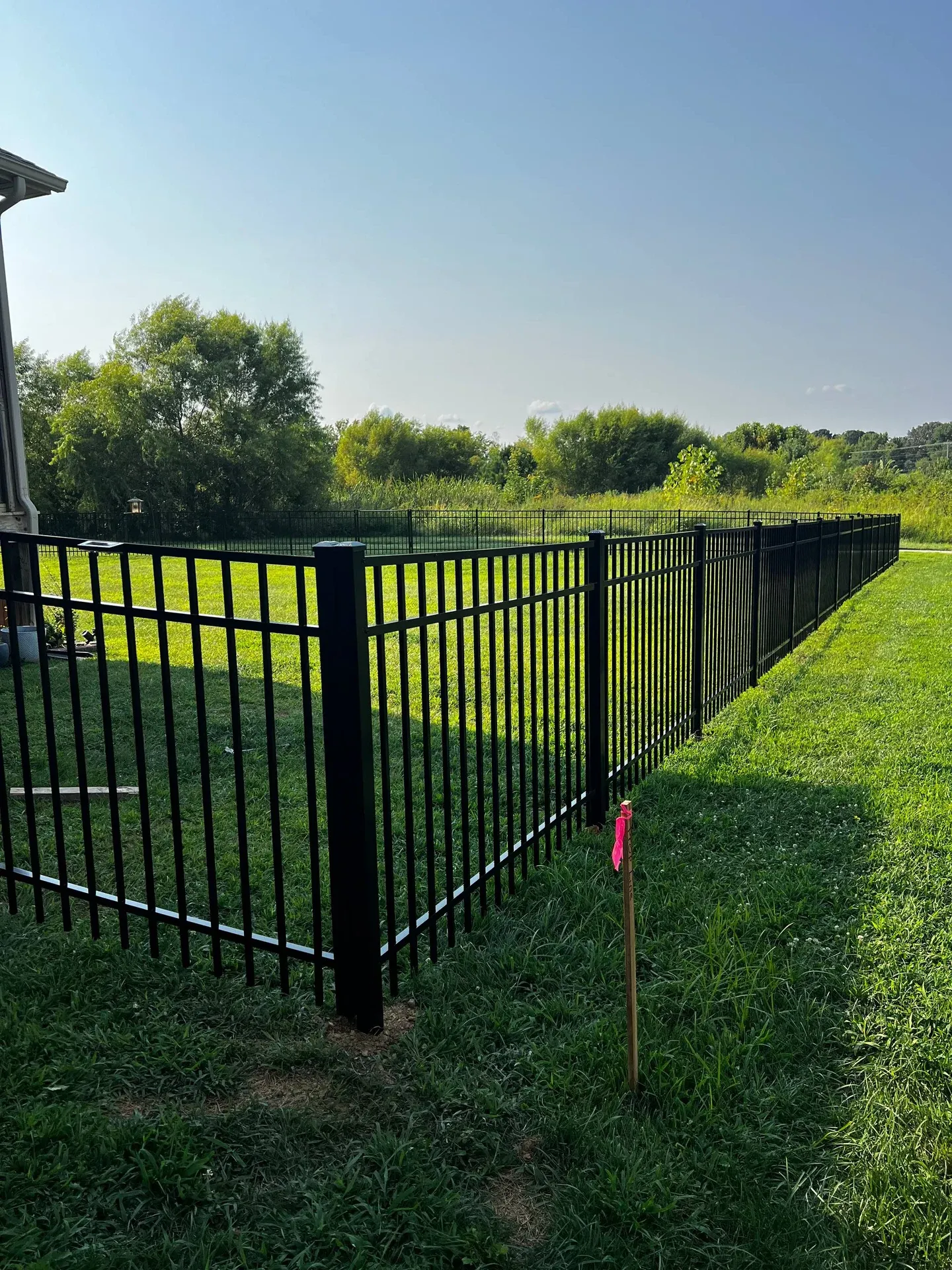 Black aluminum fence enclosing a green backyard along a tree line