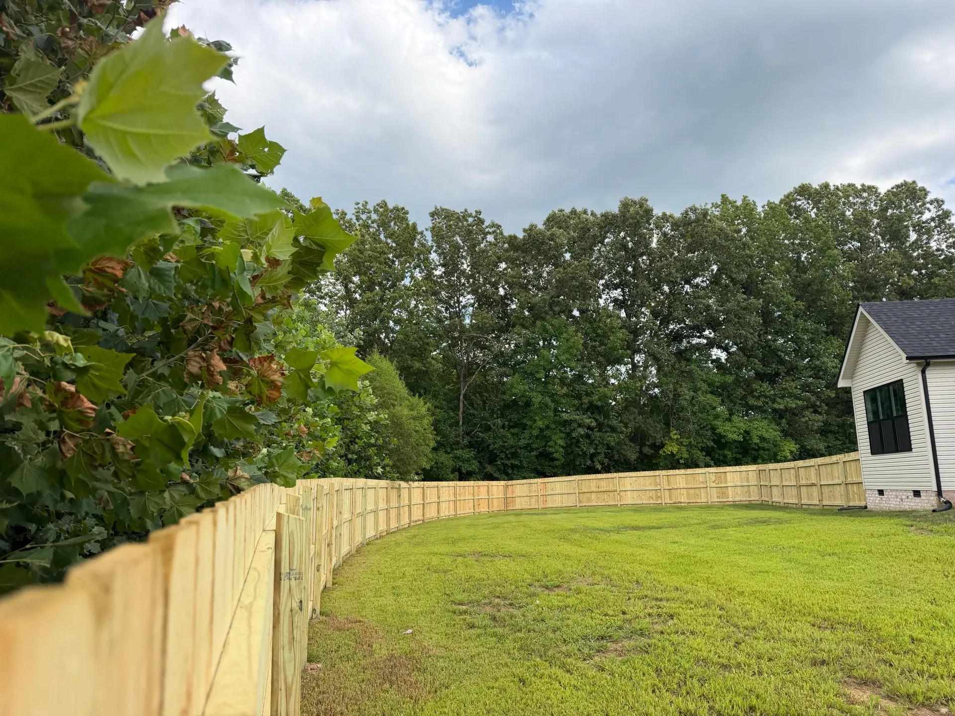 Wood privacy fence enclosing a backyard, framed by green leaves