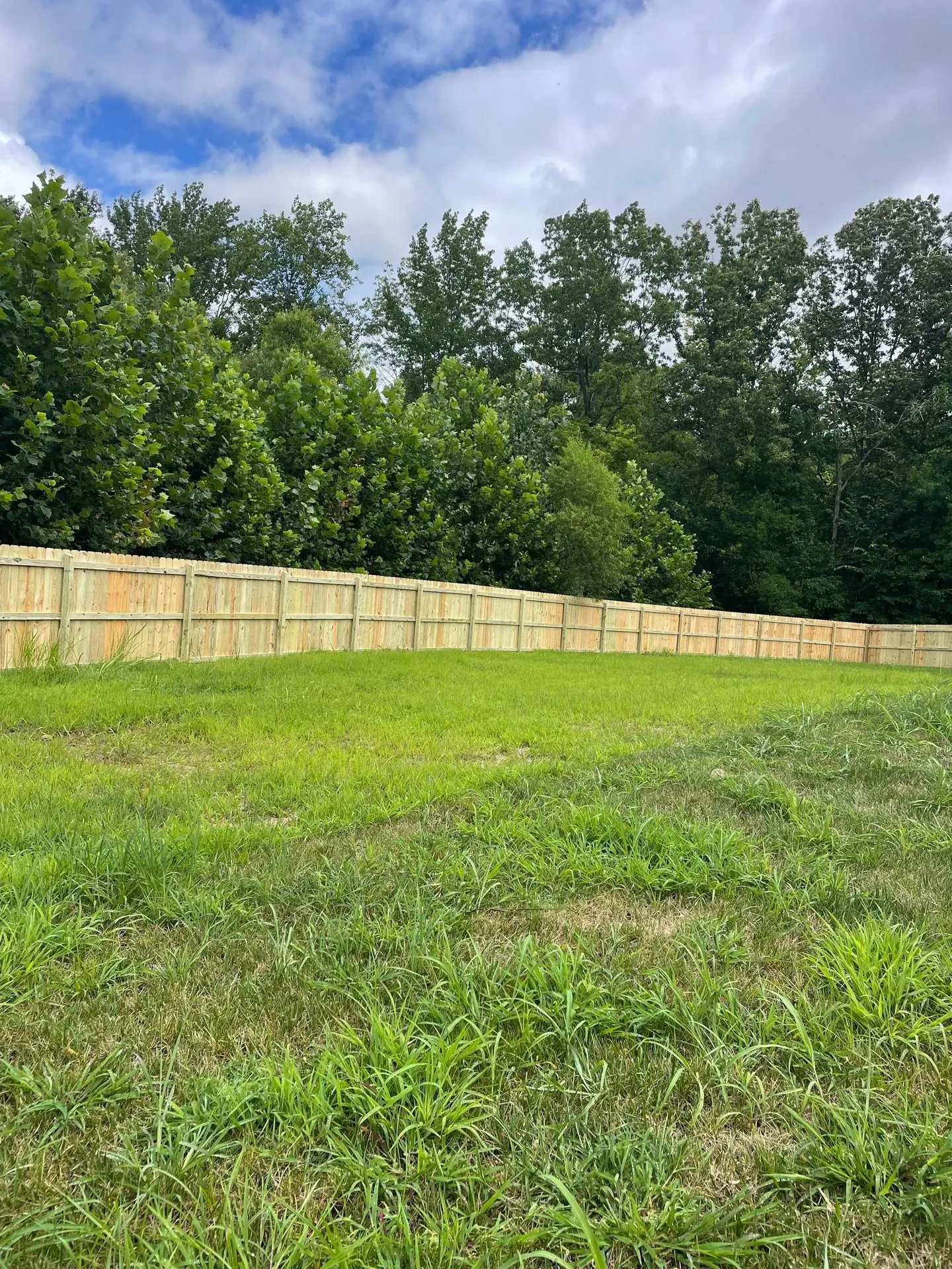 Inside view of a long wood privacy fence beside a wooded backyard